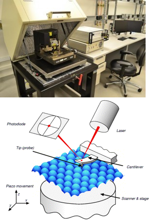AFM Picture and Schematic