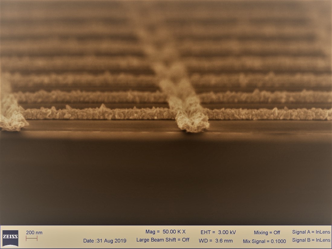 cross section
