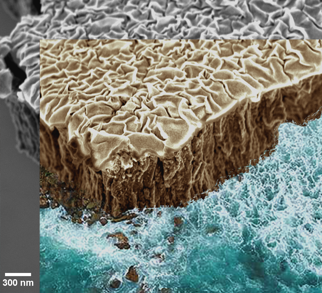 Vacuum Thermal Dealloying Of Nb:mg Film