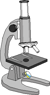 Optical microscope