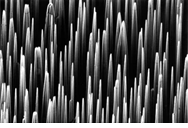 nanowires