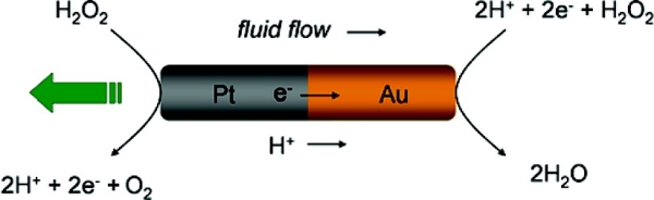 Nanomotor from https://en.wikipedia.org/wiki/File:AuPtnanomotor.jpg